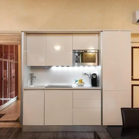 公寓 Nsm 71viadelcorso Luxury Con Terrazzo 罗马